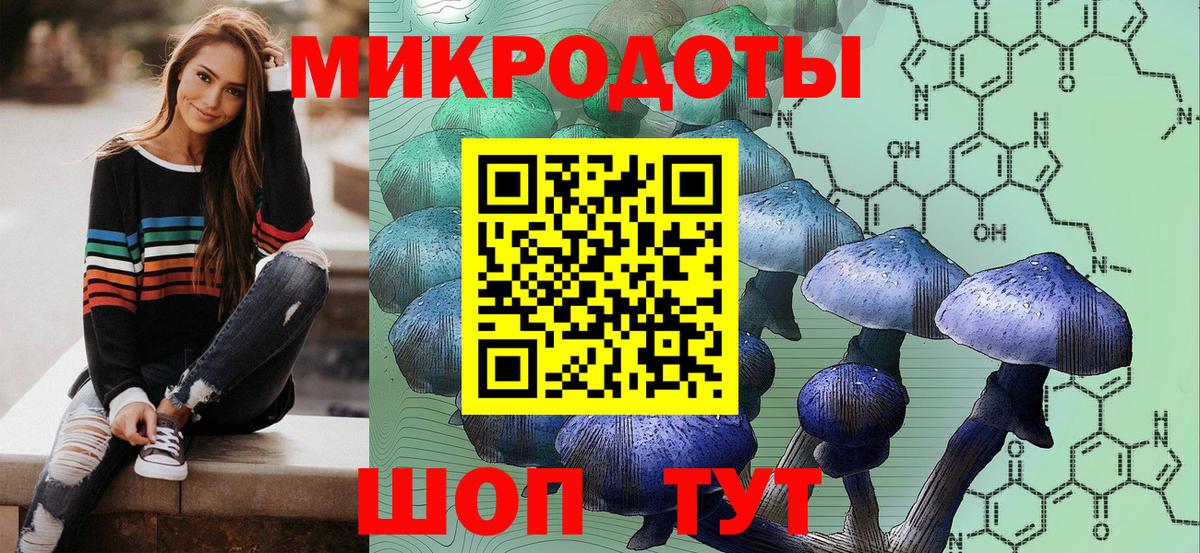 Тимашёвск  Галлюциногенные грибы прущие грибы  Вход с VPN 