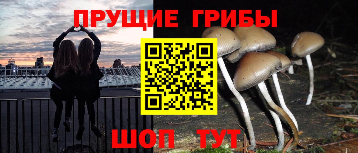 Псилоцибиновые грибы GOLDEN TEACHER Тимашёвск